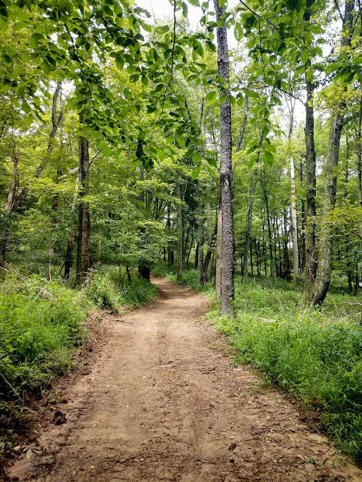 October Hill Campground Picture 4