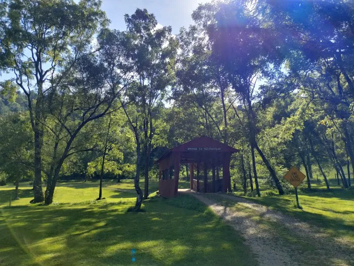 Mohican Wilderness Picture 4