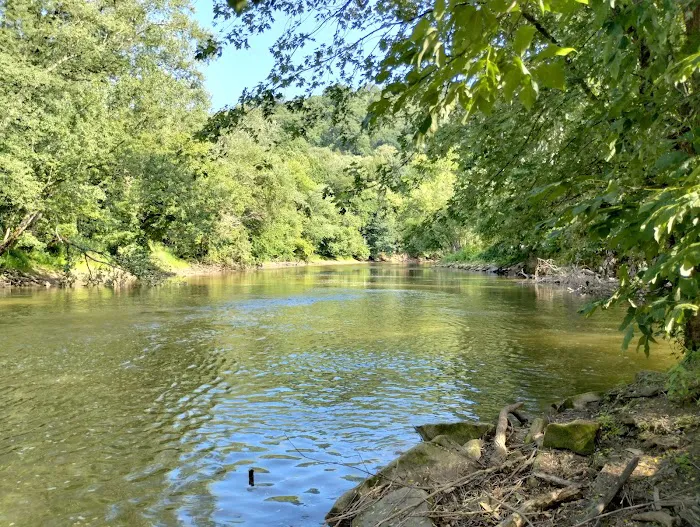 Mohican Wilderness Picture 8