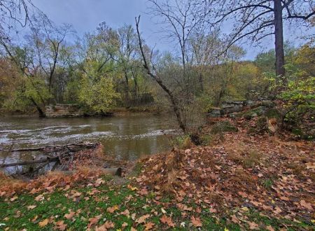 Mohican Wilderness
