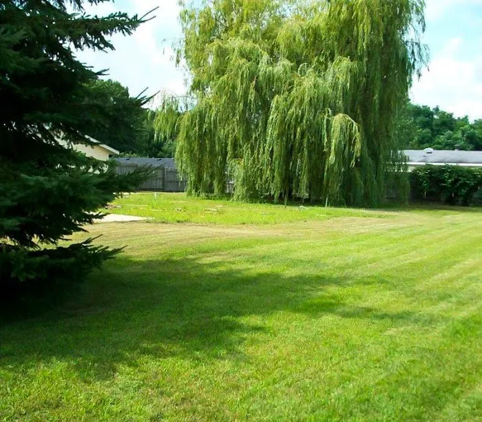 Berry Ridge Mobile Home Park Picture 1