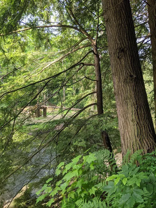Mohican State Park Camp Ground Picture 8