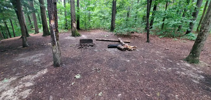 Mohican State Park - Backpack Campsite #10 Picture 2