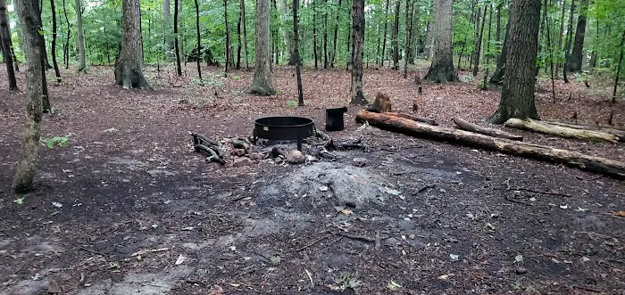 Mohican State Park - Backpack Campsite #9 Picture 1