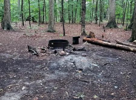 Mohican State Park - Backpack Campsite #9