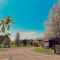 Sunset Springs Camp & Event Center ico
