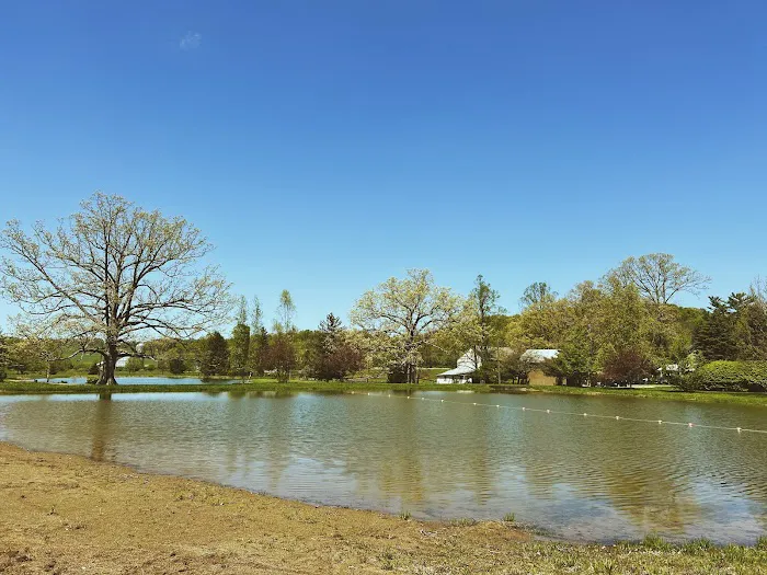 Sunset Springs Camp & Event Center Picture 9