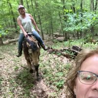Dillon State Park Horseman's Campground ico
