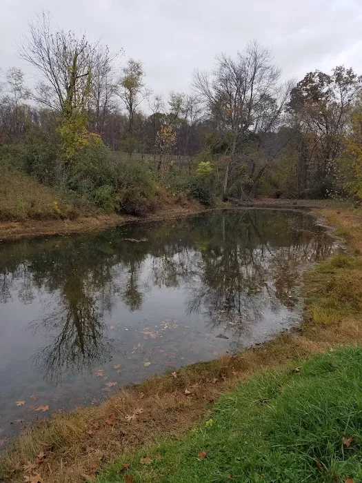 Hallowed Hills Picture 7