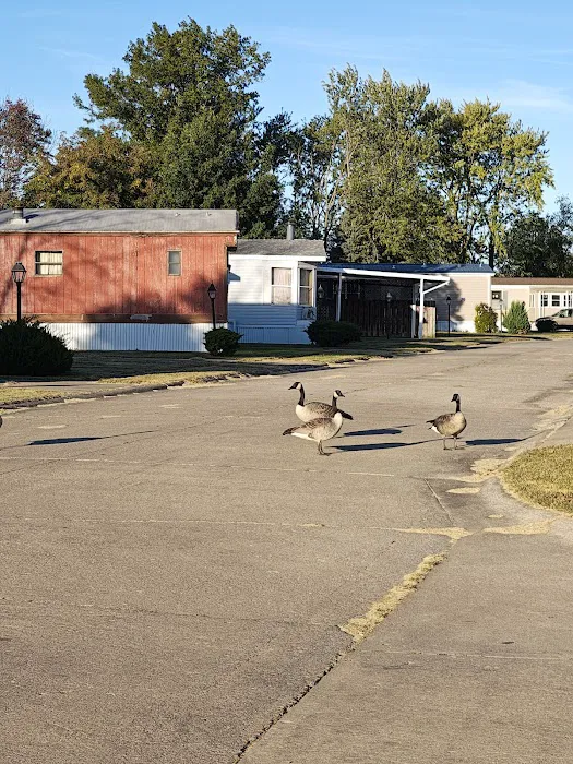 Bon-Aire Mobile Home Lodge Picture 7