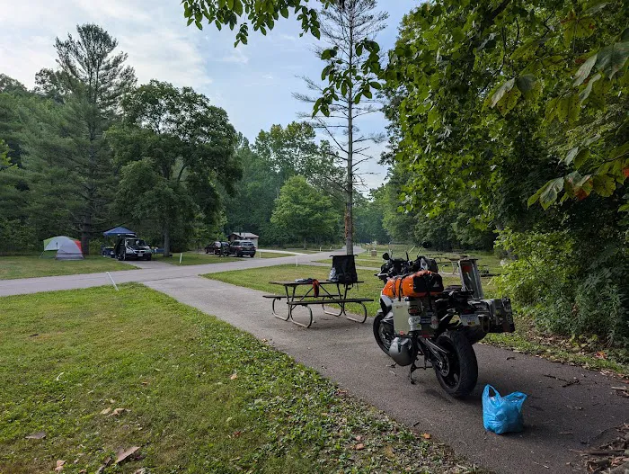 The Campground at Strouds Run State Park Picture 5