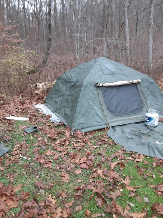 The Campground at Strouds Run State Park Picture 7