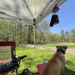 The Campground at Strouds Run State Park