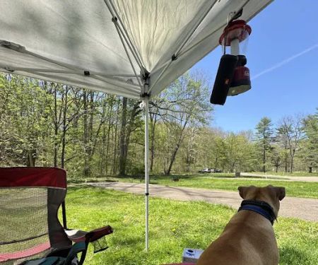 The Campground at Strouds Run State Park