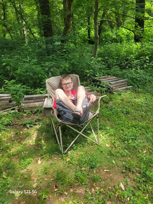 Sycamore Retreat Picture 7