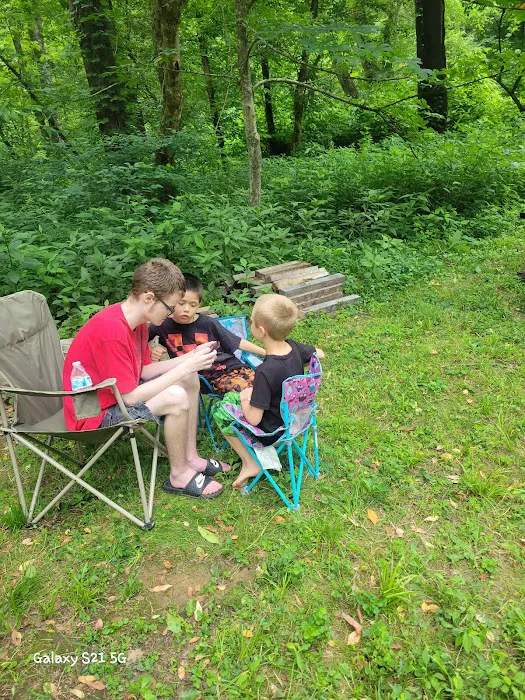 Sycamore Retreat Picture 5