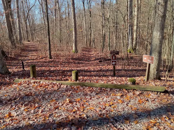 Burr Oak Cove Campground Picture 6