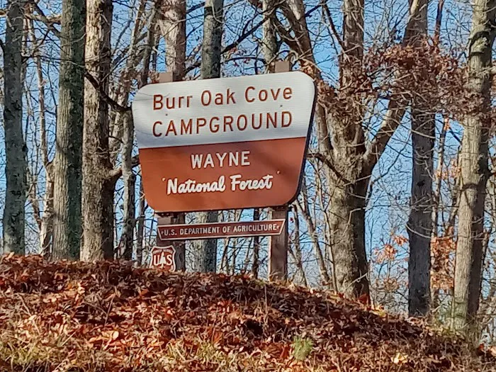 Burr Oak Cove Campground Picture 3