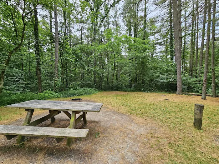 Burr Oak Cove Campground Picture 4