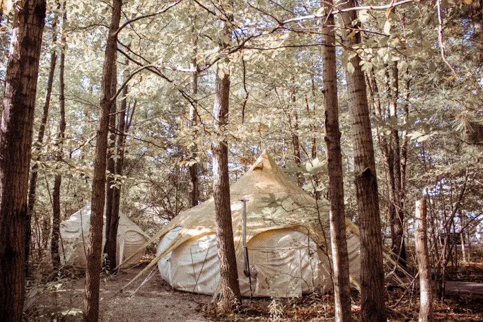 The Eco Camp Picture 5