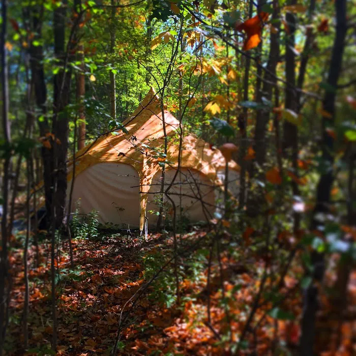 The Eco Camp Picture 7