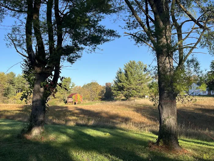 Under the Stars Campground Picture 4