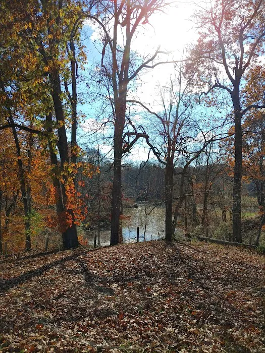 Blue Heron Landing RV Campground Picture 9
