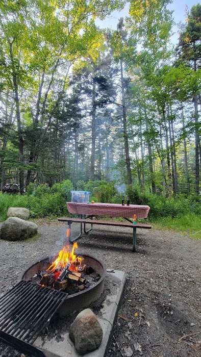 Blackwoods Campground Picture 5