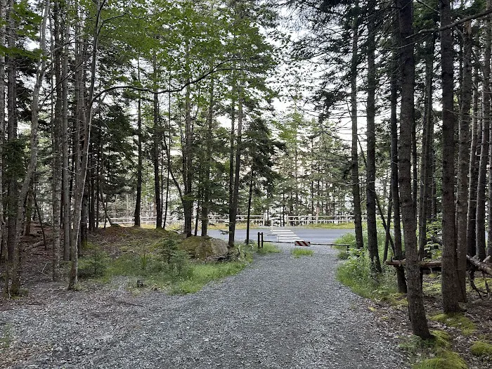Blackwoods Campground Picture 9