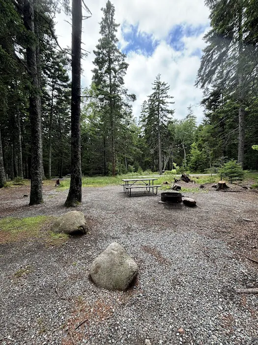 Blackwoods Campground Picture 8