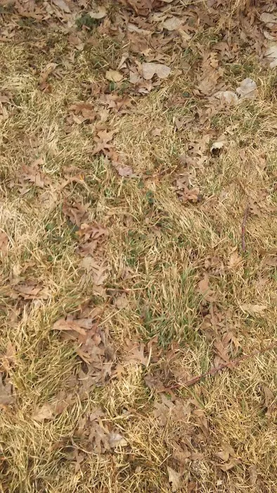 Oak Park Community Picture 1