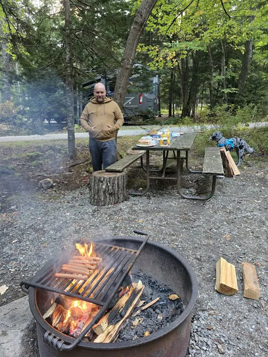 Blackwoods Campground Picture 3