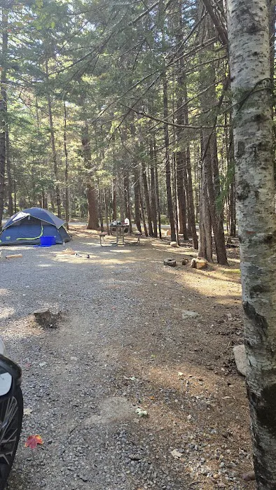 Blackwoods Campground Picture 2