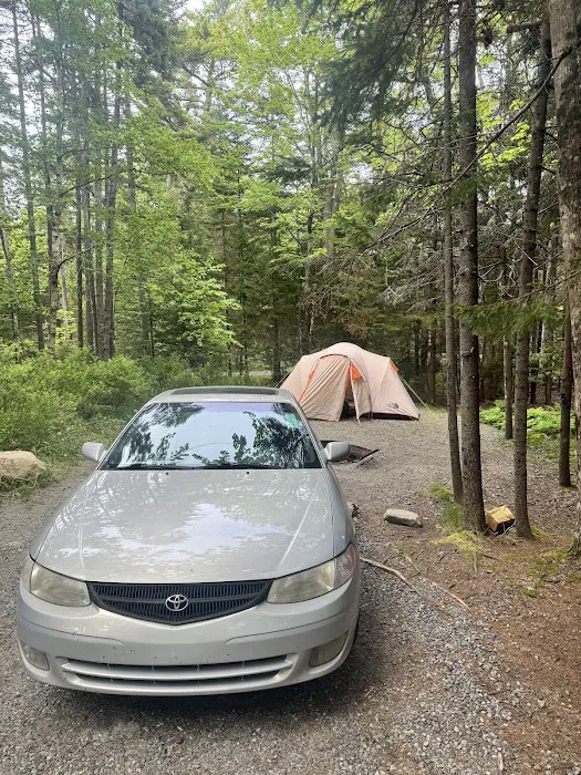 Blackwoods Campground Picture 8
