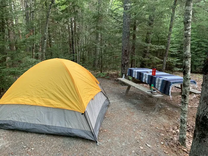 Bar Harbor Campground Picture 7