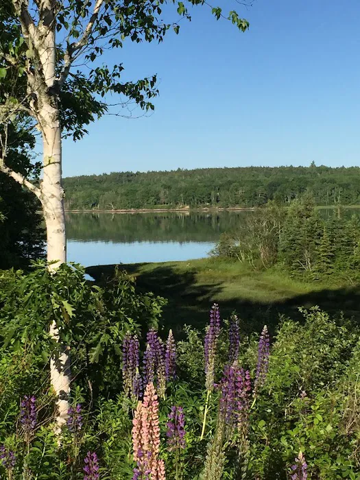 Acadia Seashore Camping & Cabins Picture 2