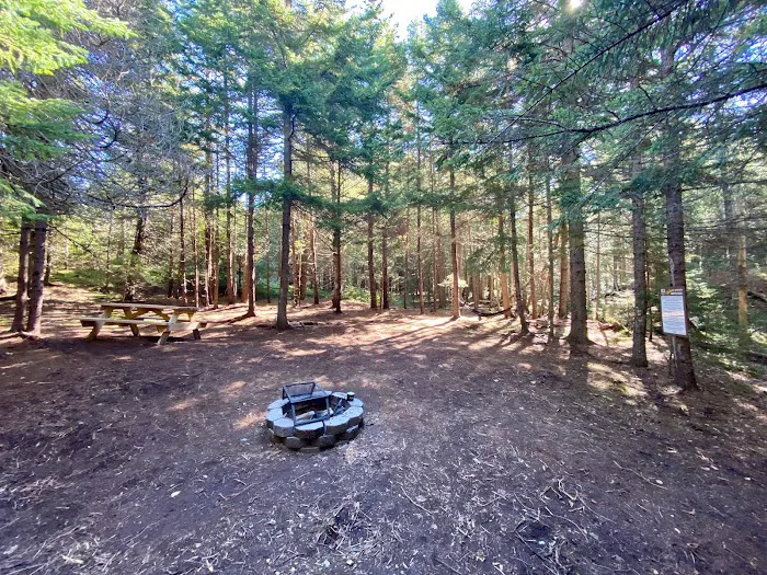 Acadia East Campground Picture 2