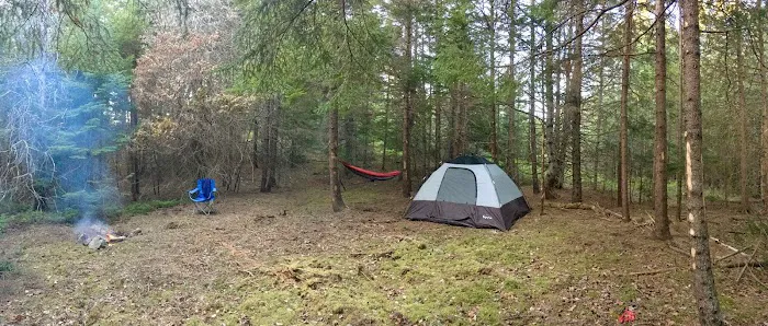 Acadia East Campground Picture 6