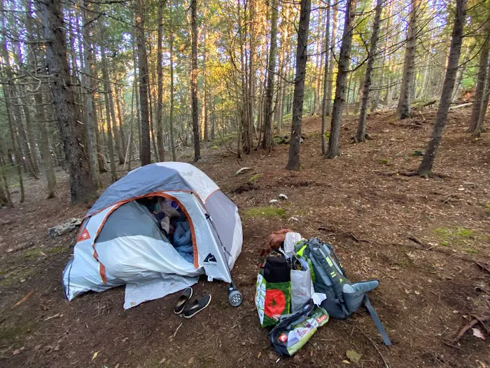 Acadia East Campground Picture 3