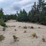 Sandbank Stream Campground