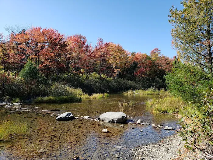 South Branch Pond Campground Picture 10