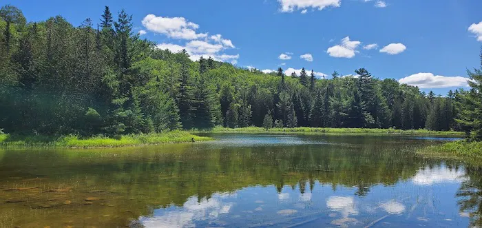 Trout Brook Farm Campground Picture 10