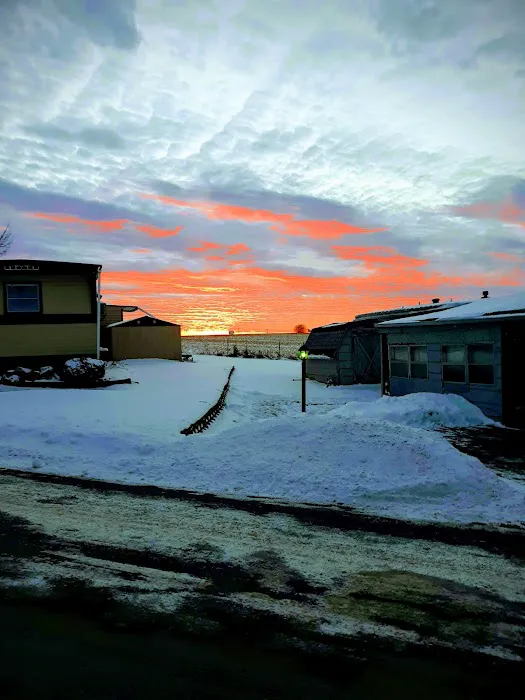 Evergreen Village Mobile Home Park Picture 1