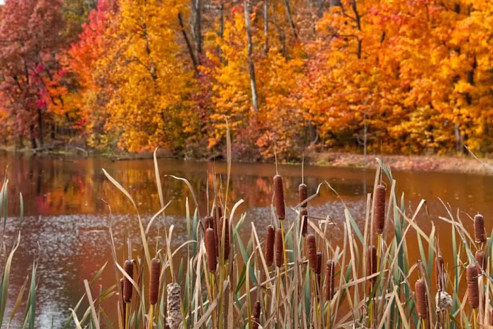 The Amherst Outdoor-Life Association Picture 7