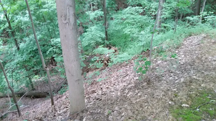 Timber Ridge Campground Picture 4