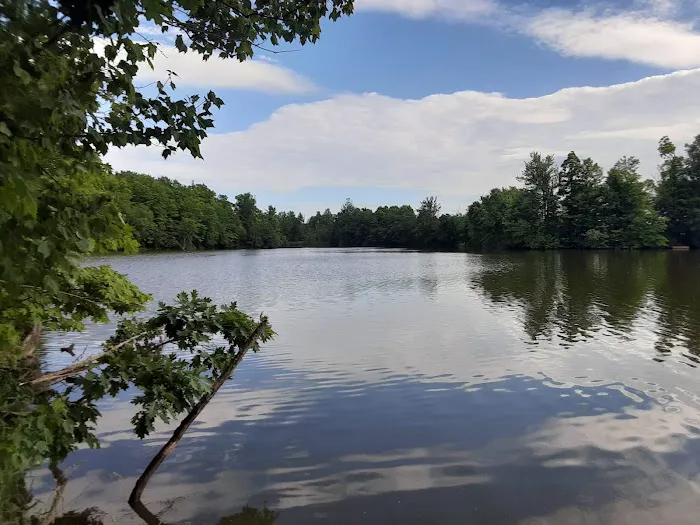 Rohr Lake Picture 7