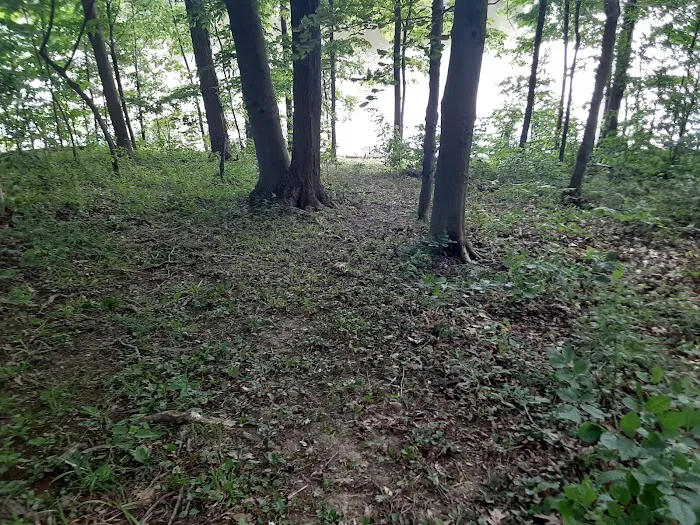 Rohr Lake Picture 8