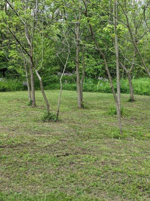 2 Bees Campground Picture 4