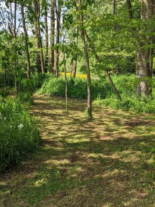 2 Bees Campground Picture 3