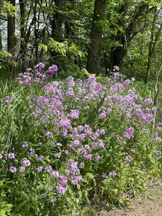 2 Bees Campground Picture 10